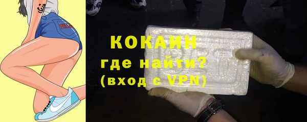 бошки Ладушкин