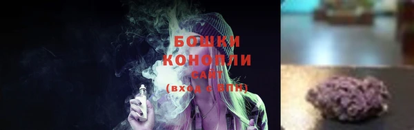 ПСИЛОЦИБИНОВЫЕ ГРИБЫ Лагань
