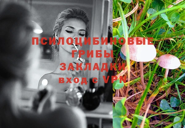 бошки Ладушкин