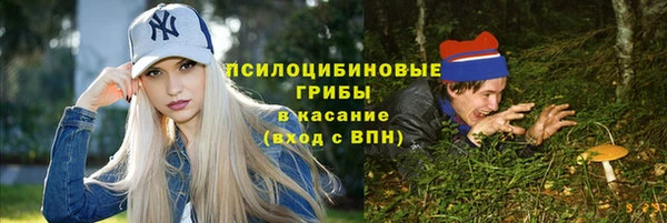 бошки Ладушкин