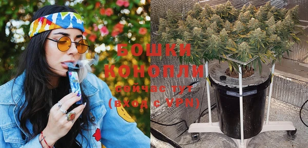 ПСИЛОЦИБИНОВЫЕ ГРИБЫ Лагань