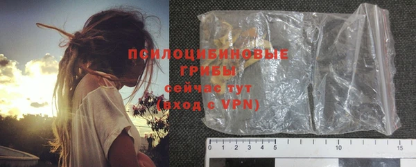 гидропоника Лабытнанги