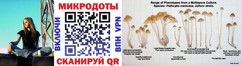Купить закладки  Менделеевск  Псилоцибиновые грибы мухоморы 